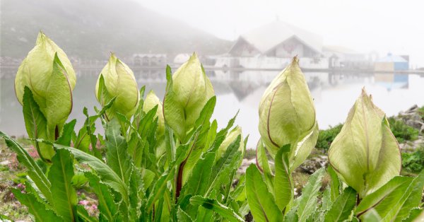 भारत के वृहत हिमालय में 10 अवश्य देखने योग्य झीलें 24