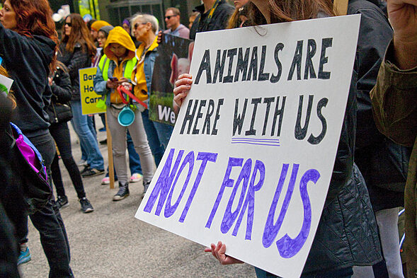 Animal cruelty protest, Animal Cruelty Laws, Dog Attack