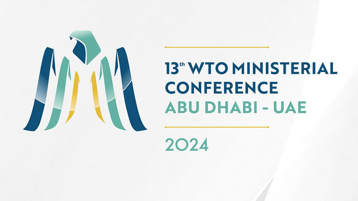 Shaping the Future of Digital Trade at the WTO Meeting