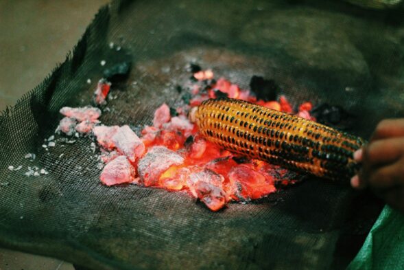 person grilling corn, bhutta