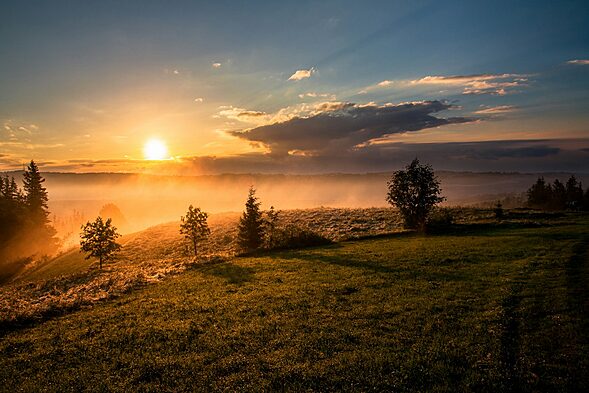 trees under cloudy sky during sunset, nature, mountain